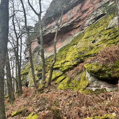 24-03-01 11-23-01 8858